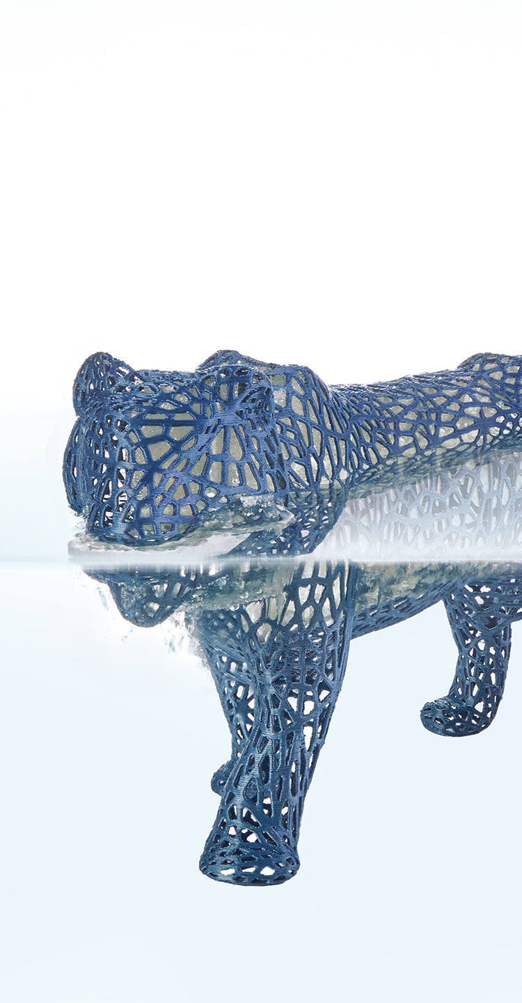 ANYCUBIC3D-ES